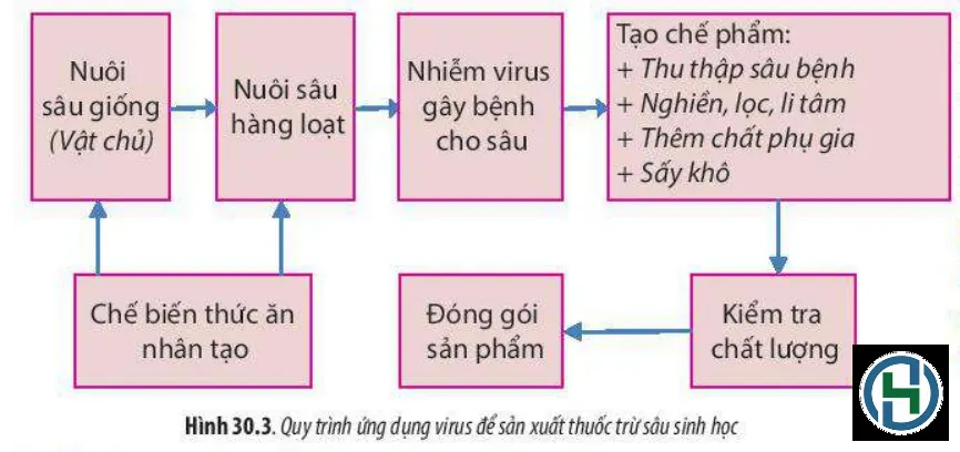 Công nghệ hiện đại giúp tối ưu hóa chi phí sản xuất sản phẩm sinh học