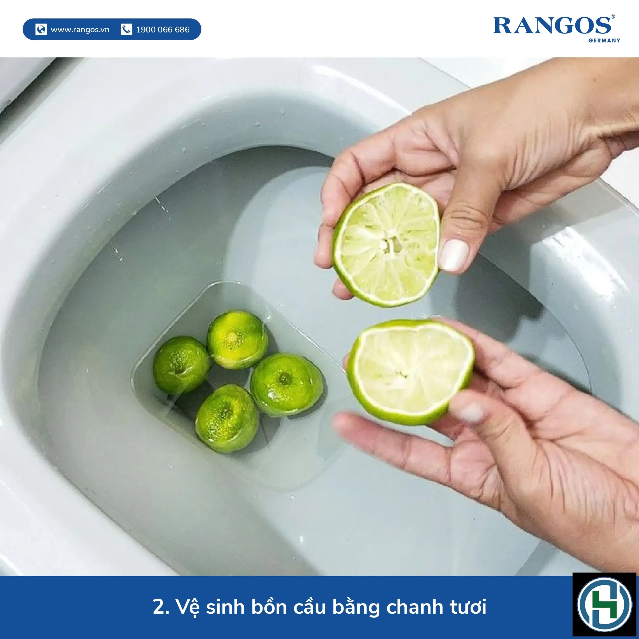 Sử dụng các nguyên liệu tự nhiên là phương pháp vệ sinh bồn cầu an toàn và hiệu quả nhất hiện nay