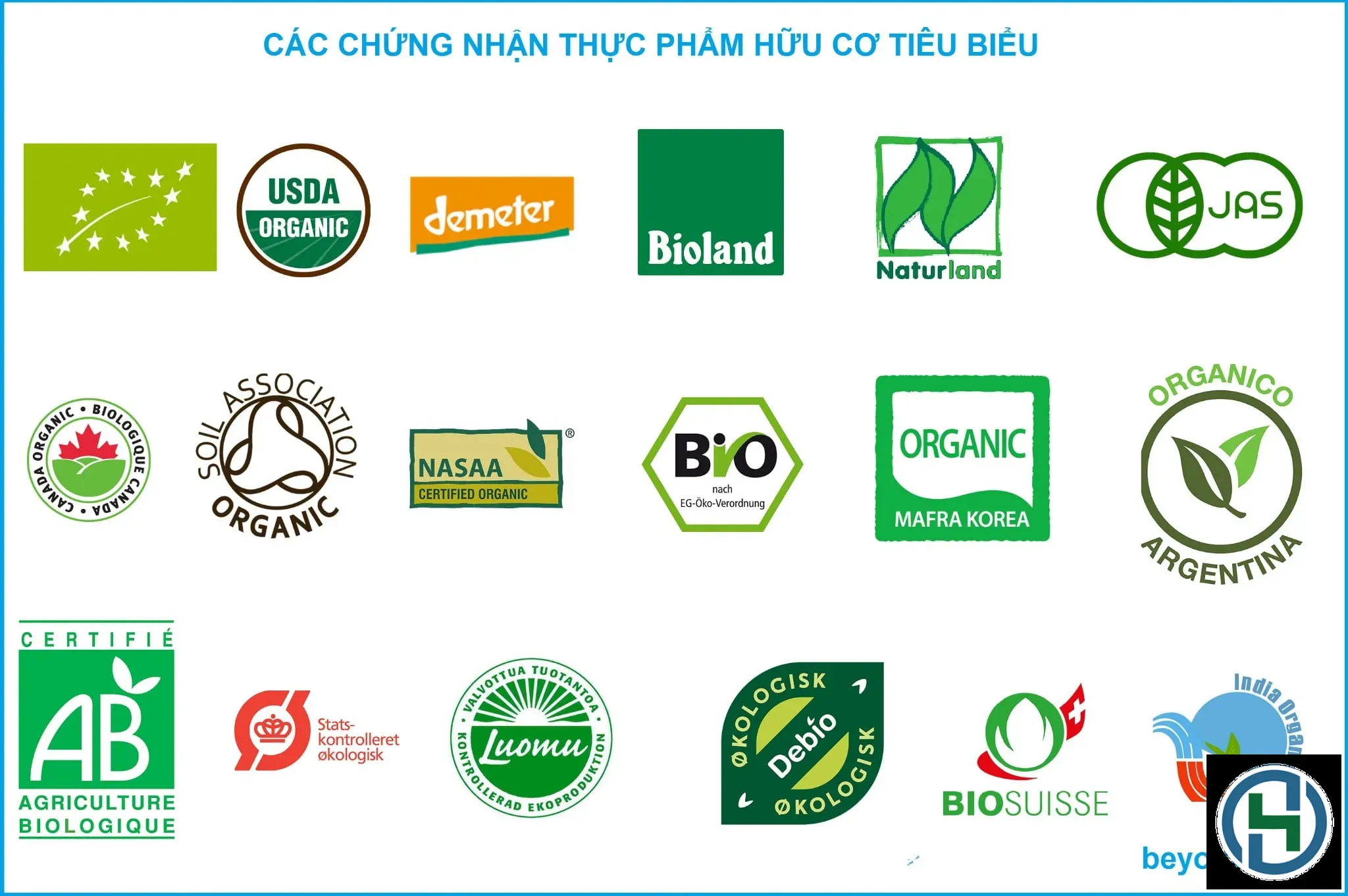 Kiểm tra các chứng nhận uy tín là cách tốt nhất để đảm bảo bạn đang mua sản phẩm xanh chất lượng