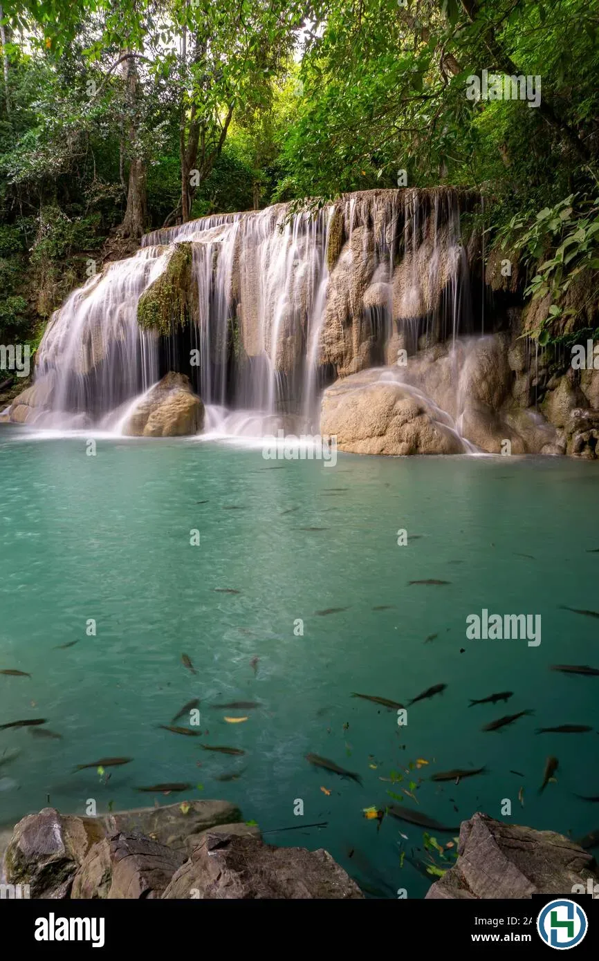 Bảo vệ nguồn nước sạch bằng cách sử dụng các chất tẩy rửa phân hủy sinh học