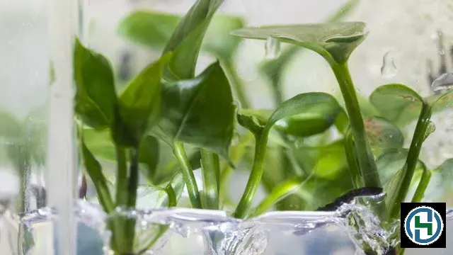 Công nghệ sinh học là nền tảng cốt lõi của các dòng hóa chất gia dụng thế hệ mới