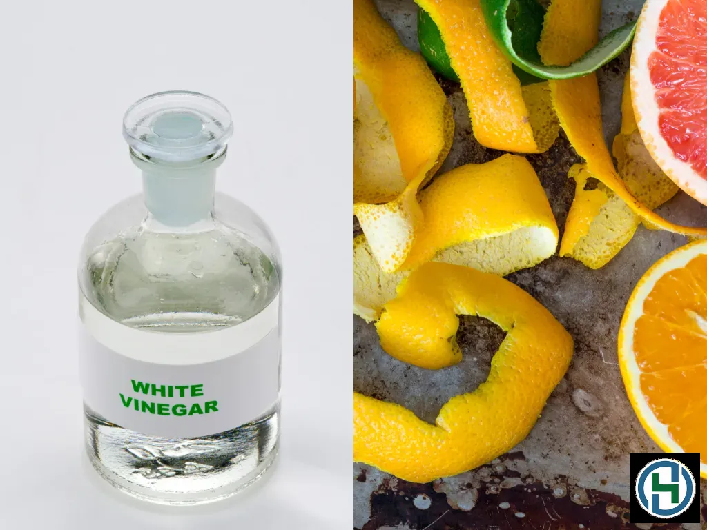 Sử dụng các nguyên liệu tự nhiên là cách an toàn nhất để bảo vệ sức khỏe gia đình
