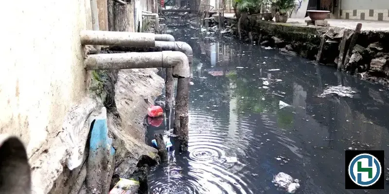 Hóa chất độc hại từ gia đình gây ra những tác động nghiêm trọng đến hệ sinh thái nước