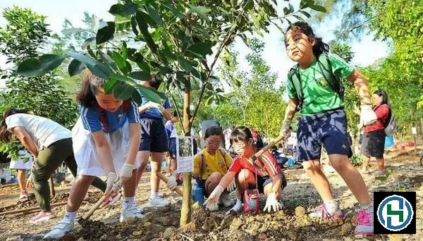 Sử dụng hóa chất xanh là cách giáo dục trực quan nhất về ý thức bảo vệ hệ sinh thái cho trẻ