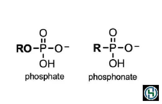 Sự khác biệt về thành phần giữa nước rửa chén truyền thống và không phosphate