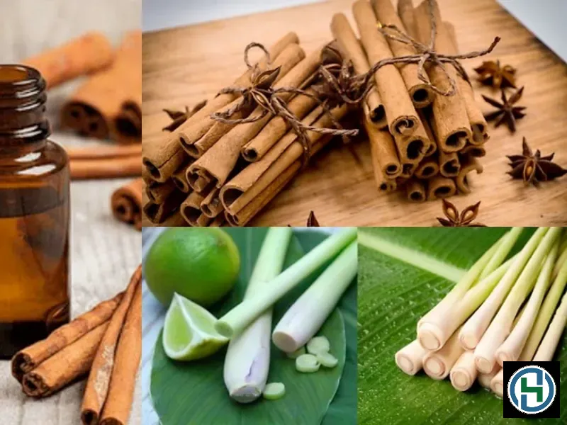 Thành phần tự nhiên là cốt lõi của tiêu chuẩn 5 không trong nước rửa chén